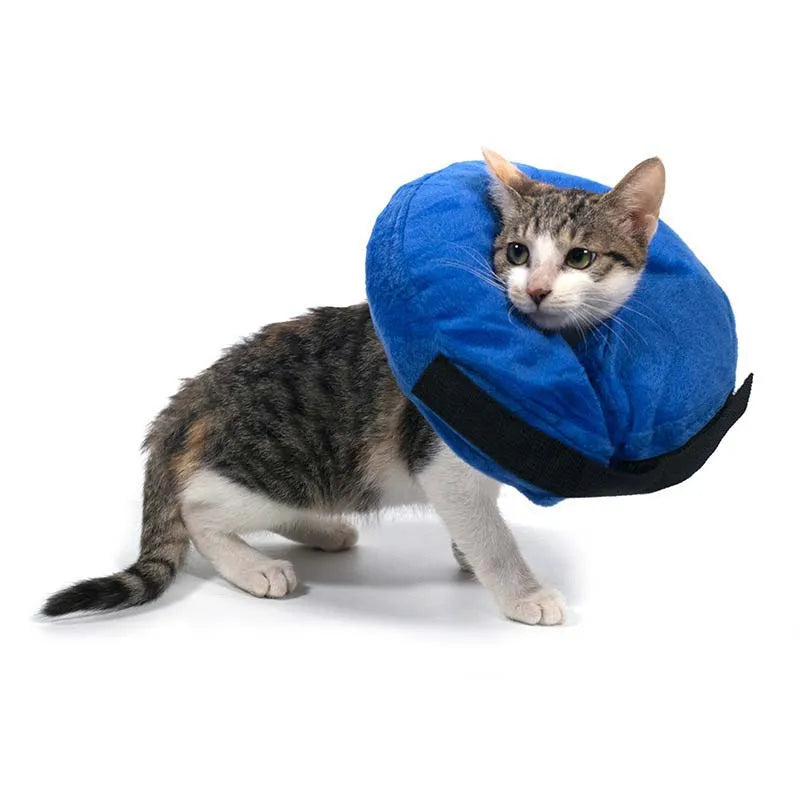 Inflatable Dog Collar Anti-Bite Injury Elizabethan Collar for Small Medium Dogs Cats Adjustable Pet Recovery Collar Accessories