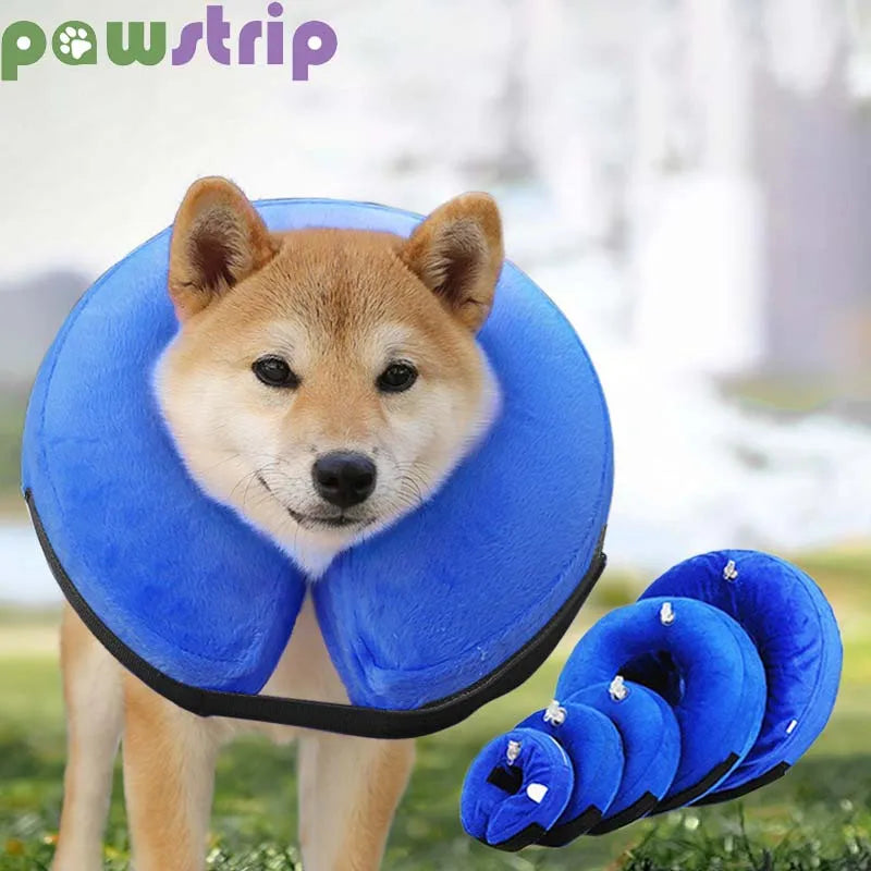 Inflatable Dog Collar Anti-Bite Injury Elizabethan Collar for Small Medium Dogs Cats Adjustable Pet Recovery Collar Accessories