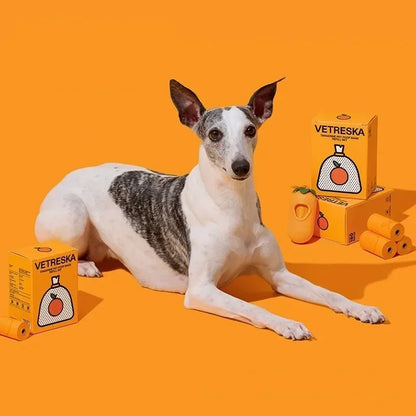 Orange Flavor Dogs Poo Bags Portable Dog Walking Bag with Fragrance Outdoors Degradable Garbage Bags Pet Supplies Accessories