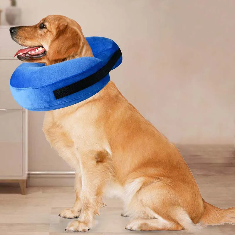 Inflatable Dog Collar Anti-Bite Injury Elizabethan Collar for Small Medium Dogs Cats Adjustable Pet Recovery Collar Accessories